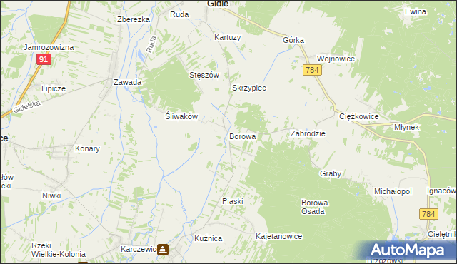 mapa Borowa gmina Gidle, Borowa gmina Gidle na mapie Targeo
