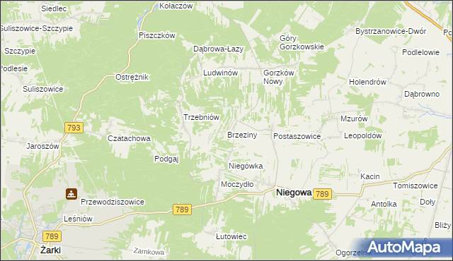 mapa Brzeziny gmina Niegowa, Brzeziny gmina Niegowa na mapie Targeo