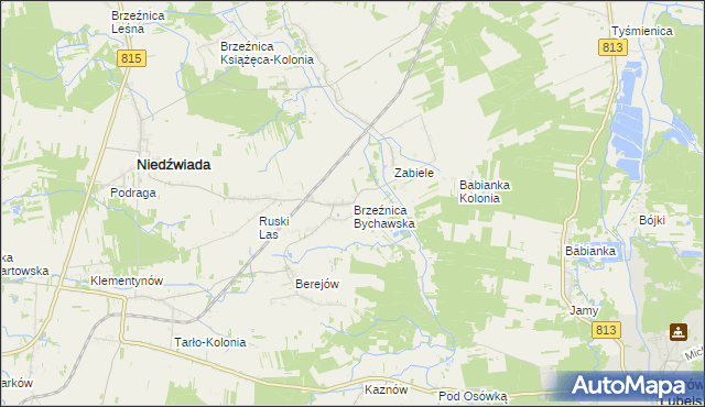 mapa Brzeźnica Bychawska, Brzeźnica Bychawska na mapie Targeo