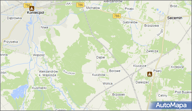 mapa Dąbie gmina Secemin, Dąbie gmina Secemin na mapie Targeo