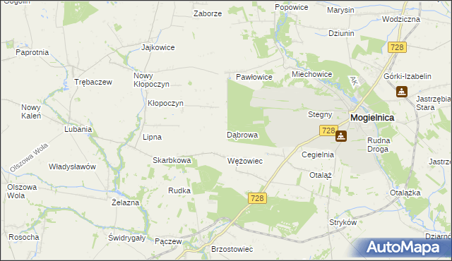 mapa Dąbrowa gmina Mogielnica, Dąbrowa gmina Mogielnica na mapie Targeo