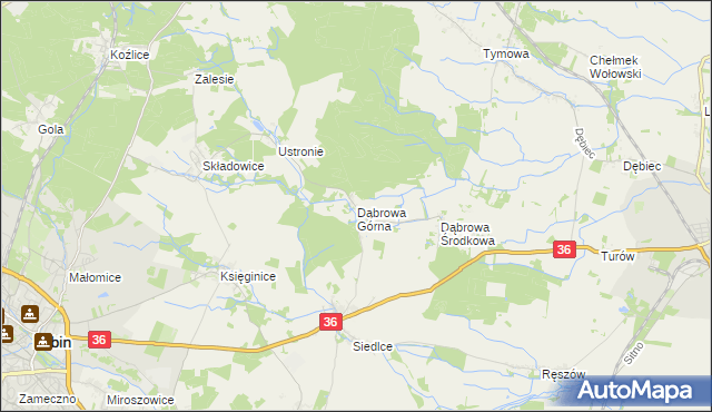 mapa Dąbrowa Górna gmina Lubin, Dąbrowa Górna gmina Lubin na mapie Targeo