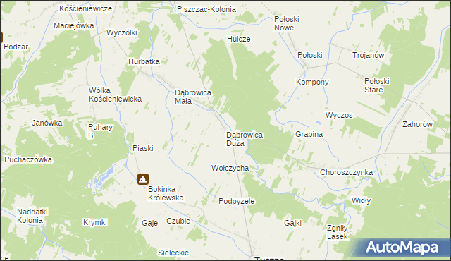 mapa Dąbrowica Duża gmina Tuczna, Dąbrowica Duża gmina Tuczna na mapie Targeo