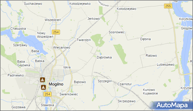 mapa Dąbrówka gmina Mogilno, Dąbrówka gmina Mogilno na mapie Targeo