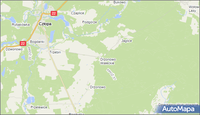 mapa Drzonowo Wałeckie, Drzonowo Wałeckie na mapie Targeo