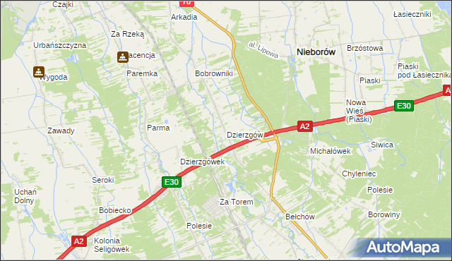 mapa Dzierzgów gmina Nieborów, Dzierzgów gmina Nieborów na mapie Targeo