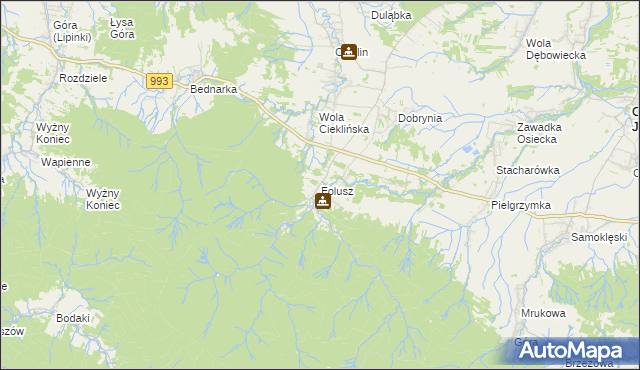 mapa Folusz gmina Dębowiec, Folusz gmina Dębowiec na mapie Targeo