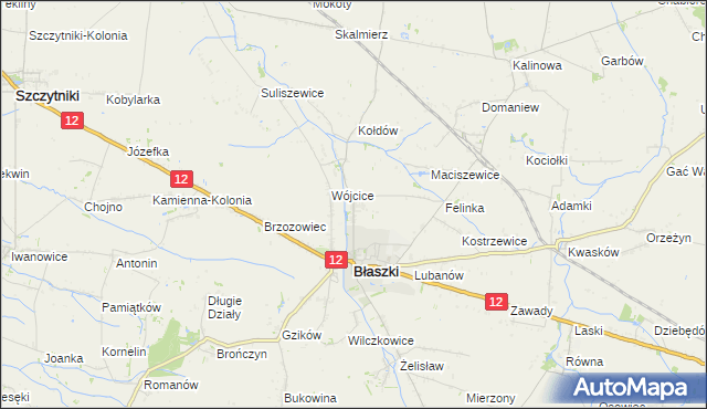 mapa Kokoszki gmina Błaszki, Kokoszki gmina Błaszki na mapie Targeo