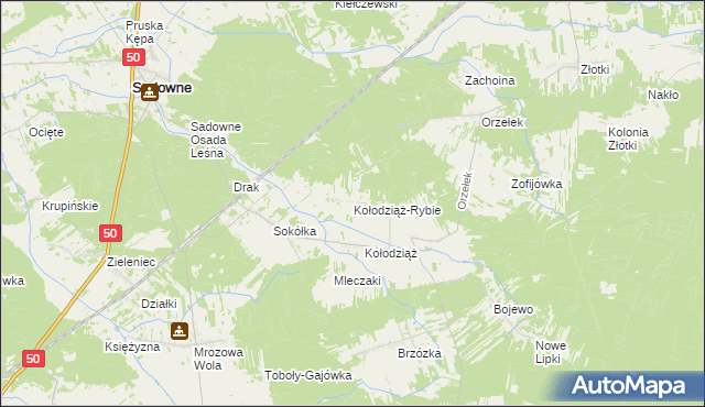 mapa Kołodziąż-Rybie, Kołodziąż-Rybie na mapie Targeo