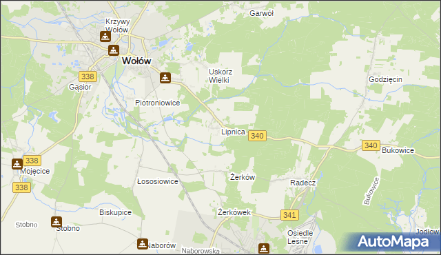 mapa Lipnica gmina Wołów, Lipnica gmina Wołów na mapie Targeo