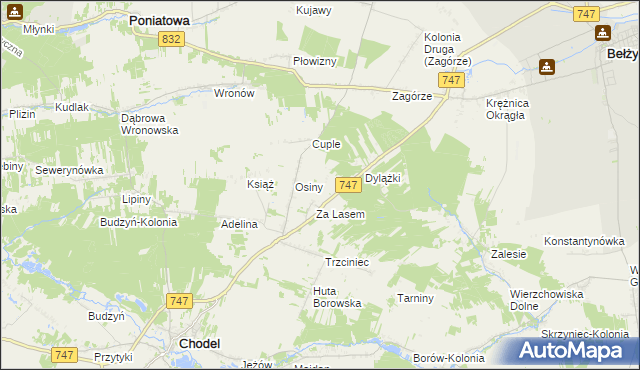 mapa Malinowszczyzna gmina Bełżyce, Malinowszczyzna gmina Bełżyce na mapie Targeo