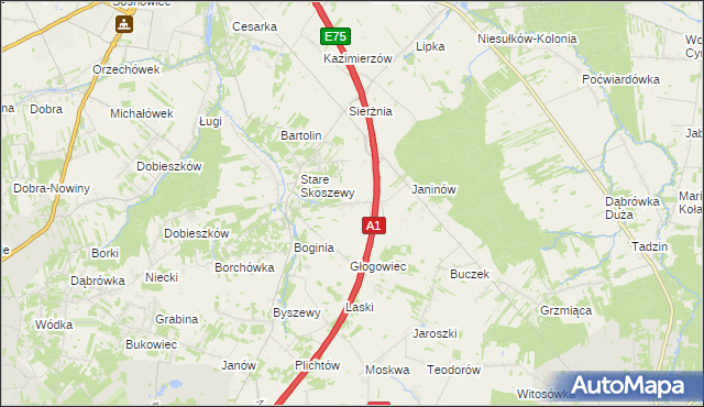 mapa Nowe Skoszewy, Nowe Skoszewy na mapie Targeo