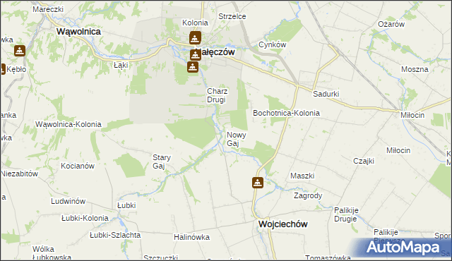 mapa Nowy Gaj gmina Wojciechów, Nowy Gaj gmina Wojciechów na mapie Targeo