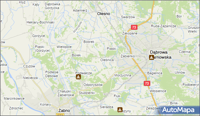 mapa Oleśnica gmina Olesno, Oleśnica gmina Olesno na mapie Targeo