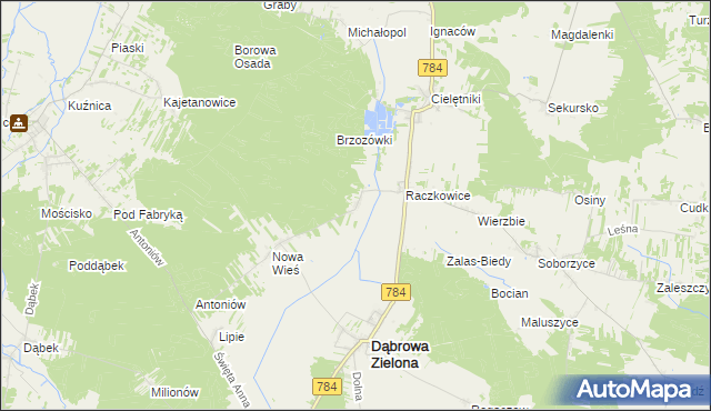 mapa Raczkowice-Kolonia, Raczkowice-Kolonia na mapie Targeo