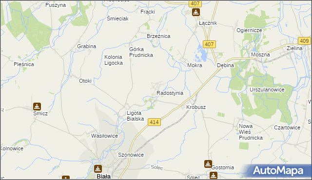 mapa Radostynia, Radostynia na mapie Targeo