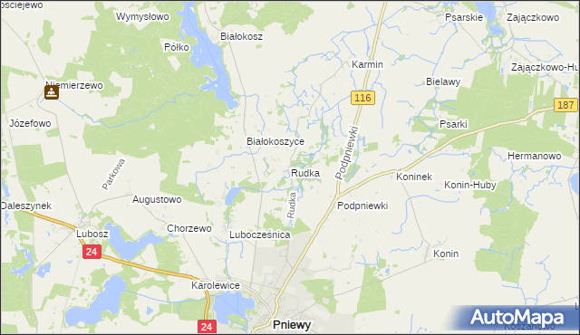 mapa Rudka gmina Pniewy, Rudka gmina Pniewy na mapie Targeo