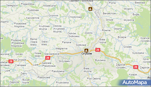 mapa Siołkowa, Siołkowa na mapie Targeo