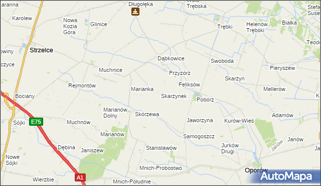 mapa Skarżynek gmina Oporów, Skarżynek gmina Oporów na mapie Targeo