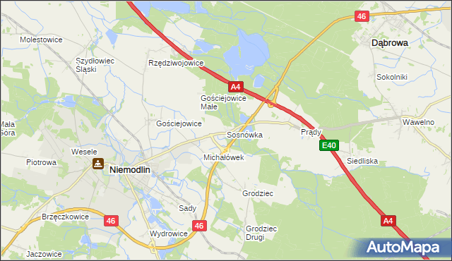 mapa Sosnówka gmina Niemodlin, Sosnówka gmina Niemodlin na mapie Targeo