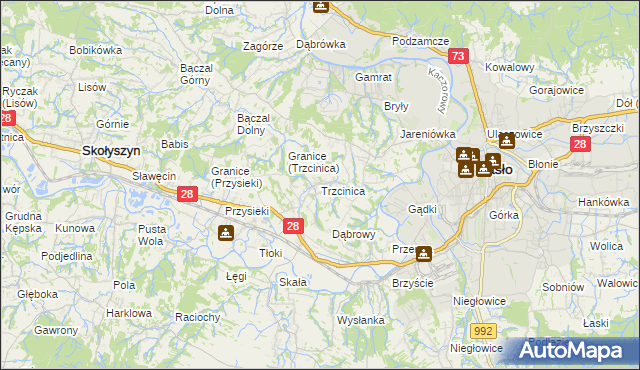 mapa Trzcinica gmina Jasło, Trzcinica gmina Jasło na mapie Targeo