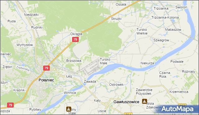 mapa Tursko Małe, Tursko Małe na mapie Targeo