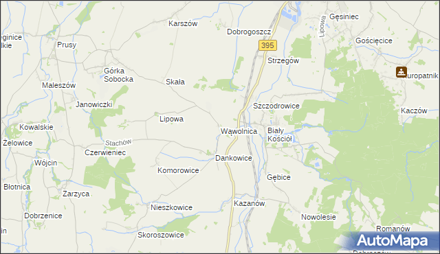 mapa Wąwolnica gmina Strzelin, Wąwolnica gmina Strzelin na mapie Targeo