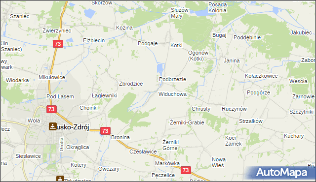 mapa Widuchowa gmina Busko-Zdrój, Widuchowa gmina Busko-Zdrój na mapie Targeo