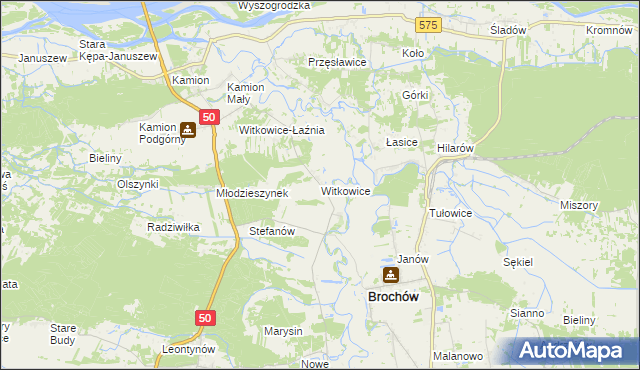 mapa Witkowice gmina Młodzieszyn, Witkowice gmina Młodzieszyn na mapie Targeo