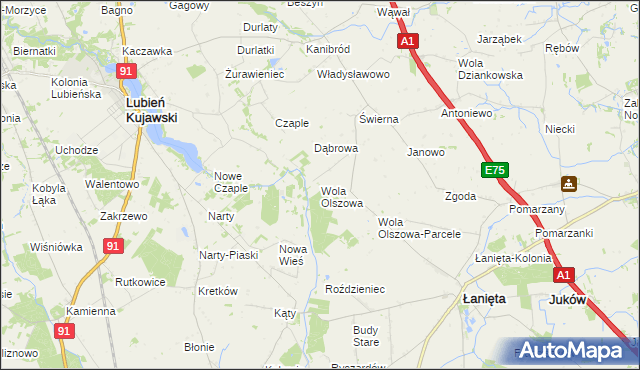 mapa Wola Olszowa, Wola Olszowa na mapie Targeo