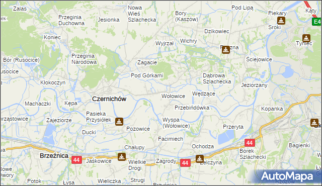 mapa Wołowice, Wołowice na mapie Targeo