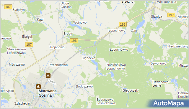 mapa Worowo gmina Murowana Goślina, Worowo gmina Murowana Goślina na mapie Targeo