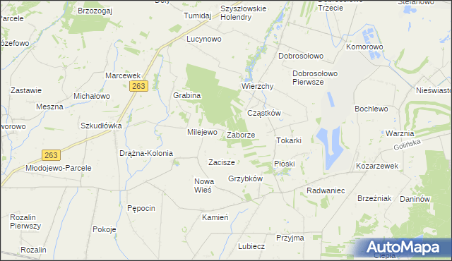 mapa Zaborze gmina Słupca, Zaborze gmina Słupca na mapie Targeo