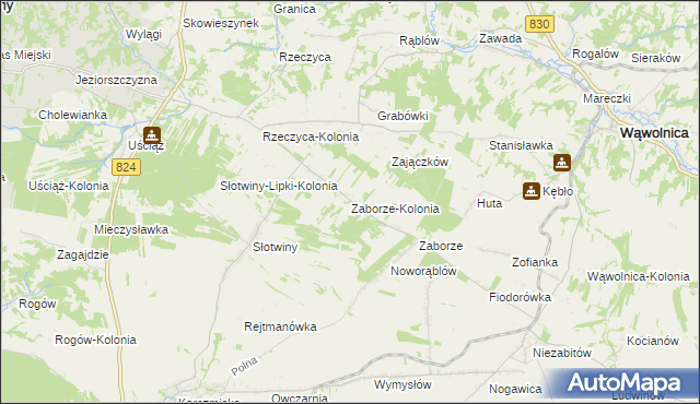 mapa Zaborze-Kolonia, Zaborze-Kolonia na mapie Targeo