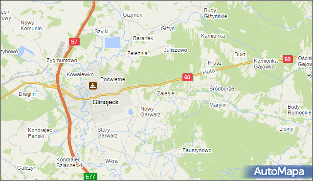 mapa Zalesie gmina Glinojeck, Zalesie gmina Glinojeck na mapie Targeo