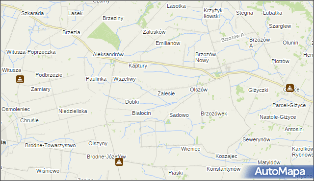 mapa Zalesie gmina Iłów, Zalesie gmina Iłów na mapie Targeo