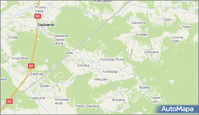 mapa Kołodziąż-Rybie, Kołodziąż-Rybie na mapie Targeo