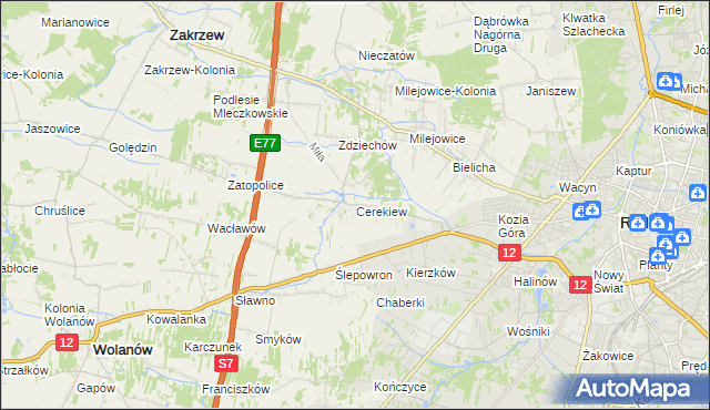 mapa Cerekiew gmina Zakrzew, Cerekiew gmina Zakrzew na mapie Targeo