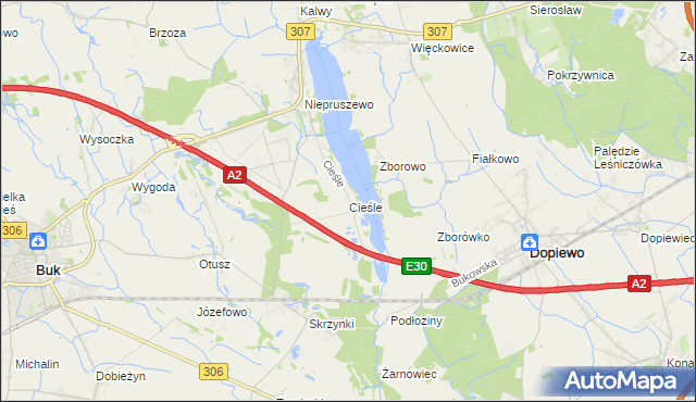 mapa Cieśle gmina Buk, Cieśle gmina Buk na mapie Targeo