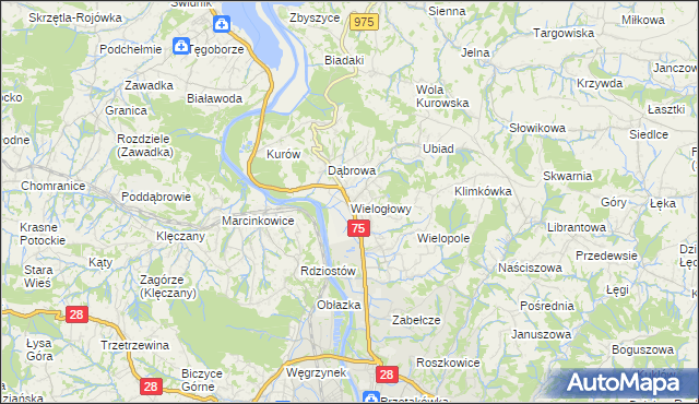 mapa Wielogłowy gmina Chełmiec, Wielogłowy gmina Chełmiec na mapie Targeo