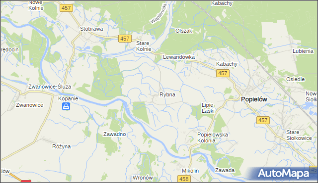 mapa Rybna gmina Popielów, Rybna gmina Popielów na mapie Targeo