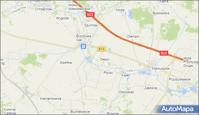 mapa Olesin gmina Kurów, Olesin gmina Kurów na mapie Targeo