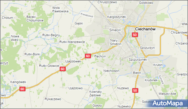 mapa Pęchcin, Pęchcin na mapie Targeo