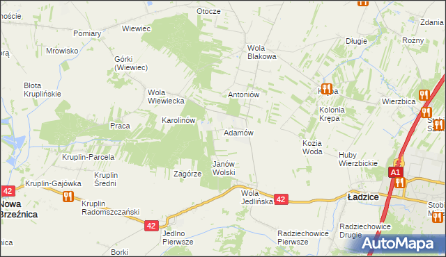mapa Adamów gmina Ładzice, Adamów gmina Ładzice na mapie Targeo