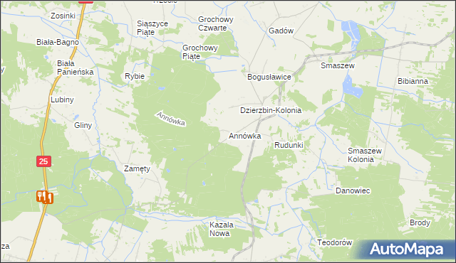 mapa Annówka gmina Mycielin, Annówka gmina Mycielin na mapie Targeo