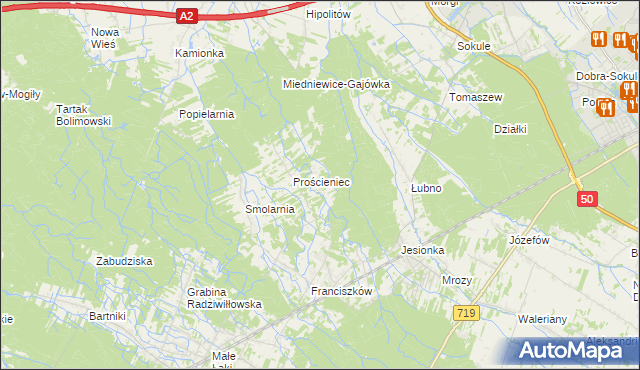 mapa Antoniew gmina Wiskitki, Antoniew gmina Wiskitki na mapie Targeo