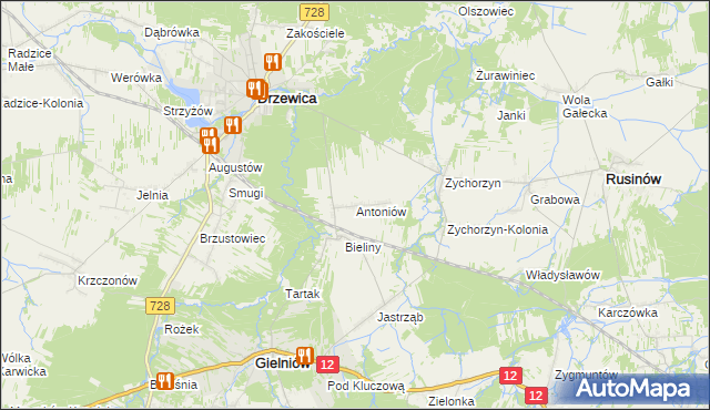 mapa Antoniów gmina Gielniów, Antoniów gmina Gielniów na mapie Targeo