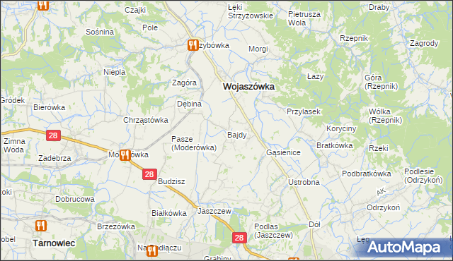 mapa Bajdy gmina Wojaszówka, Bajdy gmina Wojaszówka na mapie Targeo
