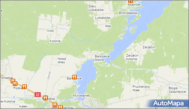 mapa Barkowice Mokre, Barkowice Mokre na mapie Targeo