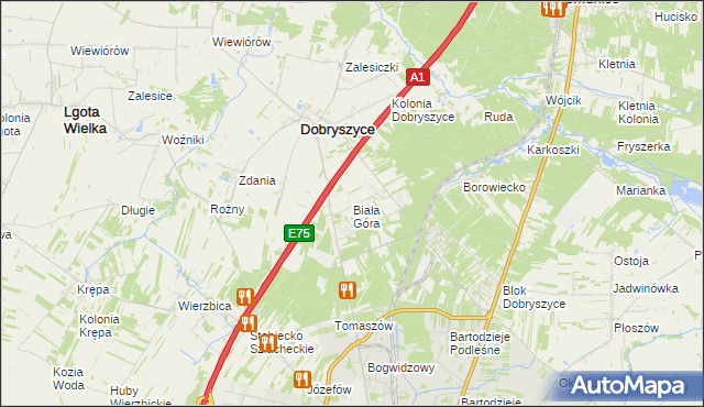 mapa Biała Góra gmina Dobryszyce, Biała Góra gmina Dobryszyce na mapie Targeo